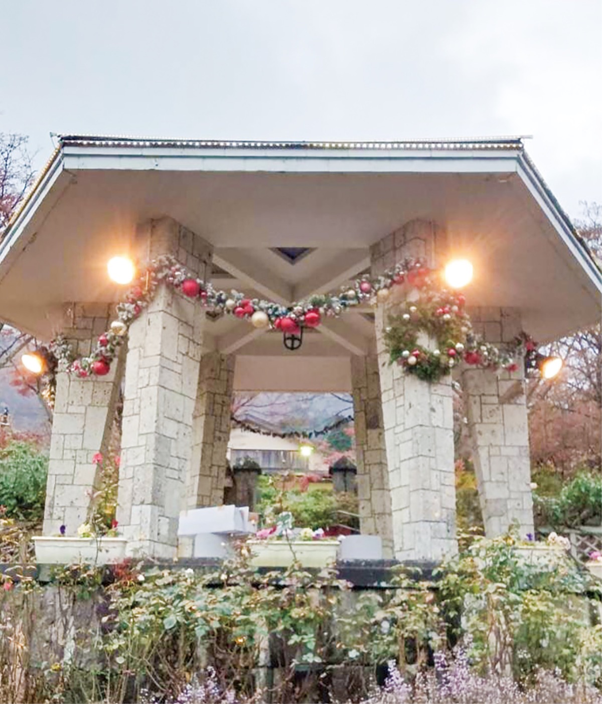 Ⅹｍａｓの｢映え｣楽しんで