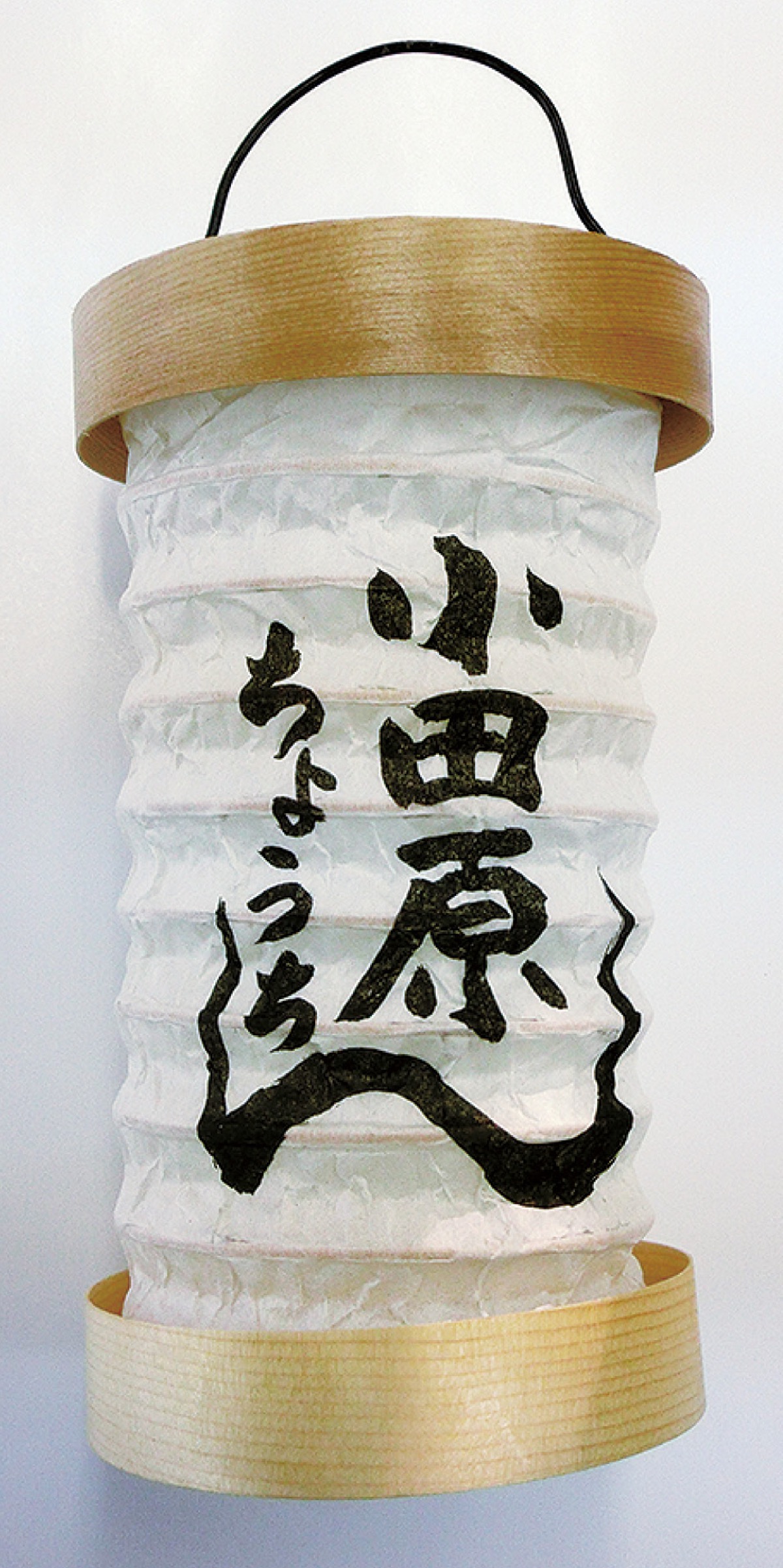 指導ボランティア募集