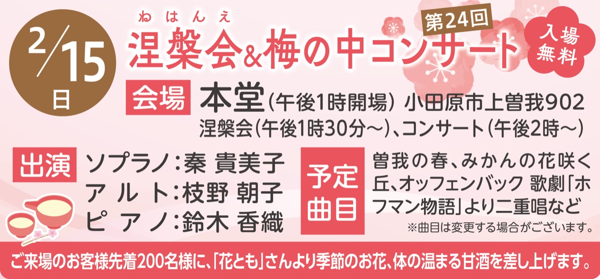 見事に降り注ぐ”しだれ梅” (写真2)