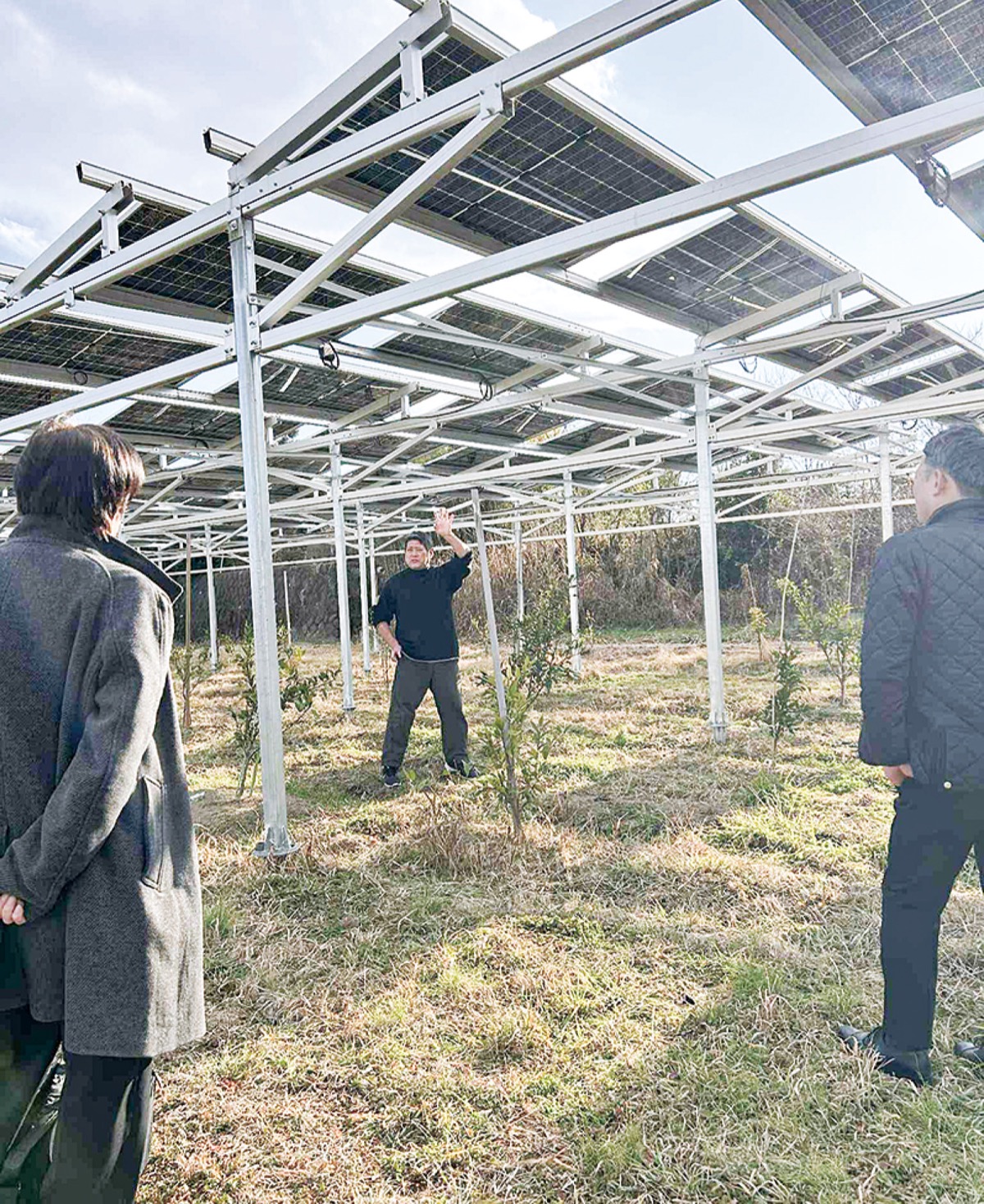 営農型太陽光発電設備を視察する経産省職員と説明する小山田代表
