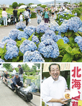 開花状況と天候に恵まれ、多くの人が訪れた「開成あじさい祭」。交流都市・北海道幕別町の物産展（右下）も人気だった。