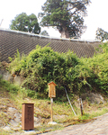 樹齢2000年の箒杉の根が張る地下から湧き出る天然水が汲める「箒杉の水」。地元の箒沢自治会が設置する水飲み場です。