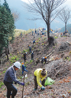 山の斜面で植林をする参加者たち