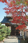 まもなく紅葉に包まれる慈眼寺。雰囲気を見に訪れてみては