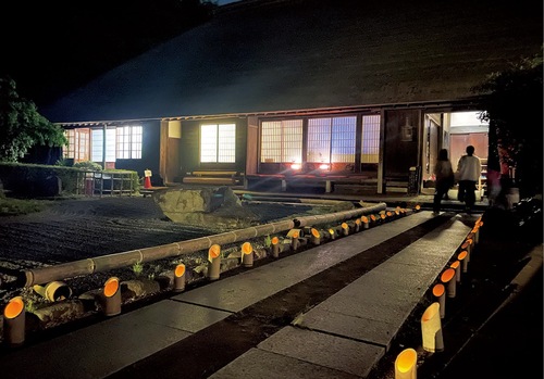 幻想的なライトアップ