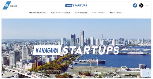 開設されたウェブサイト