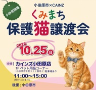 保護猫の譲渡会