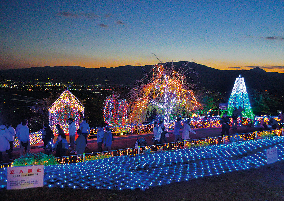 松田山西平畑公園 今年もキラキラ クリスマスまで、毎晩9時まで点灯