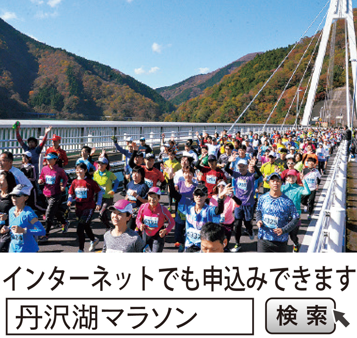 ハーフマラソン大会参加者募集 (写真1)