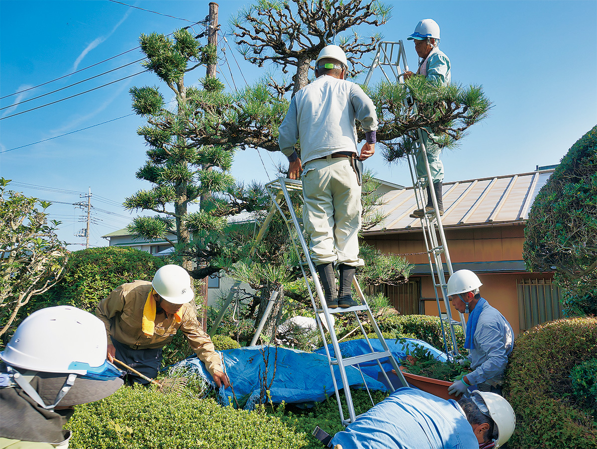 合同で剪定講習会を実施 足柄地区シルバー連絡協議会 足柄 タウンニュース