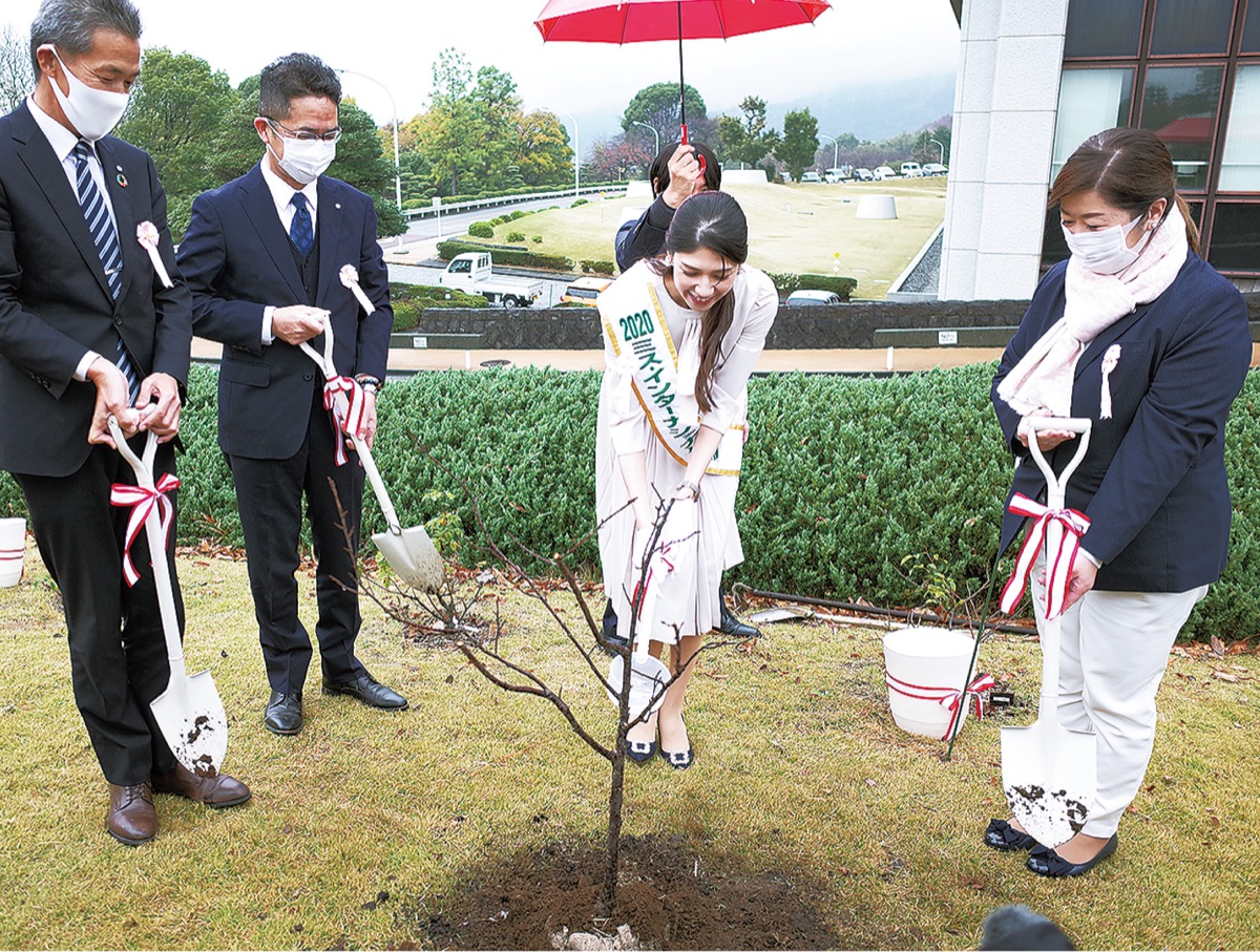 「夢待桜」の植樹をする小川代表(右)たち