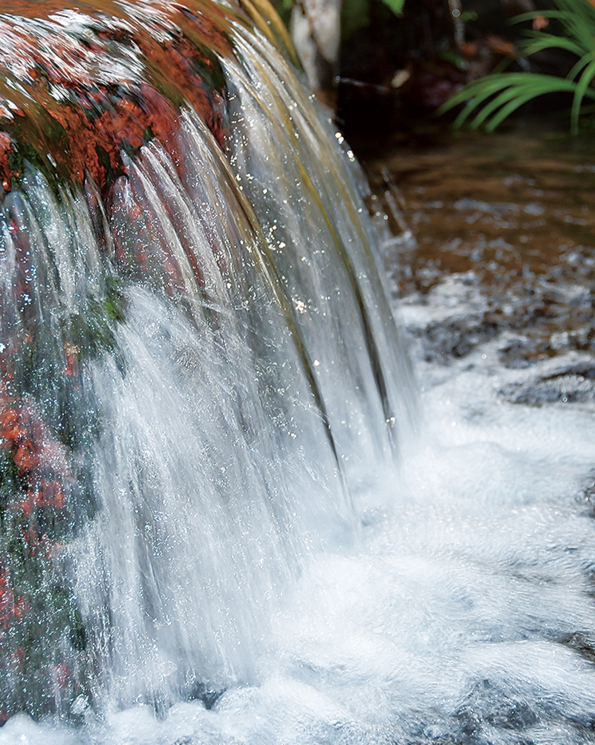 洗浄に用いる湧水「竜靖洞」（足柄工場）