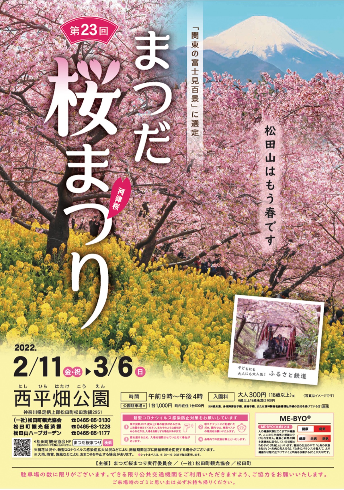 松田山の春 始まる ２月11日から桜まつり 足柄 タウンニュース