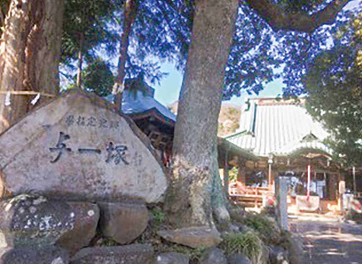 鎌倉殿と県西地域