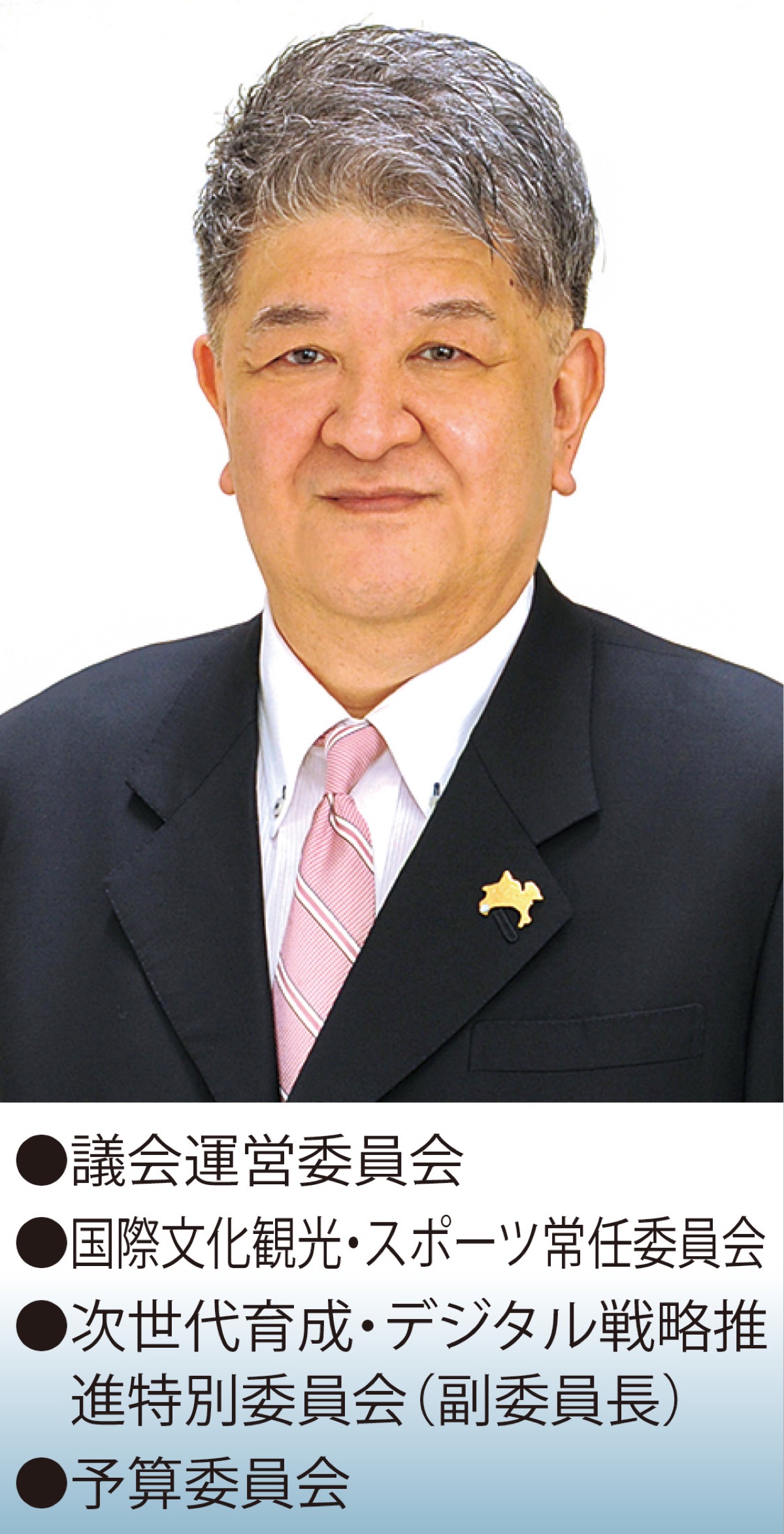 県西地域活性化プロジェクトについて