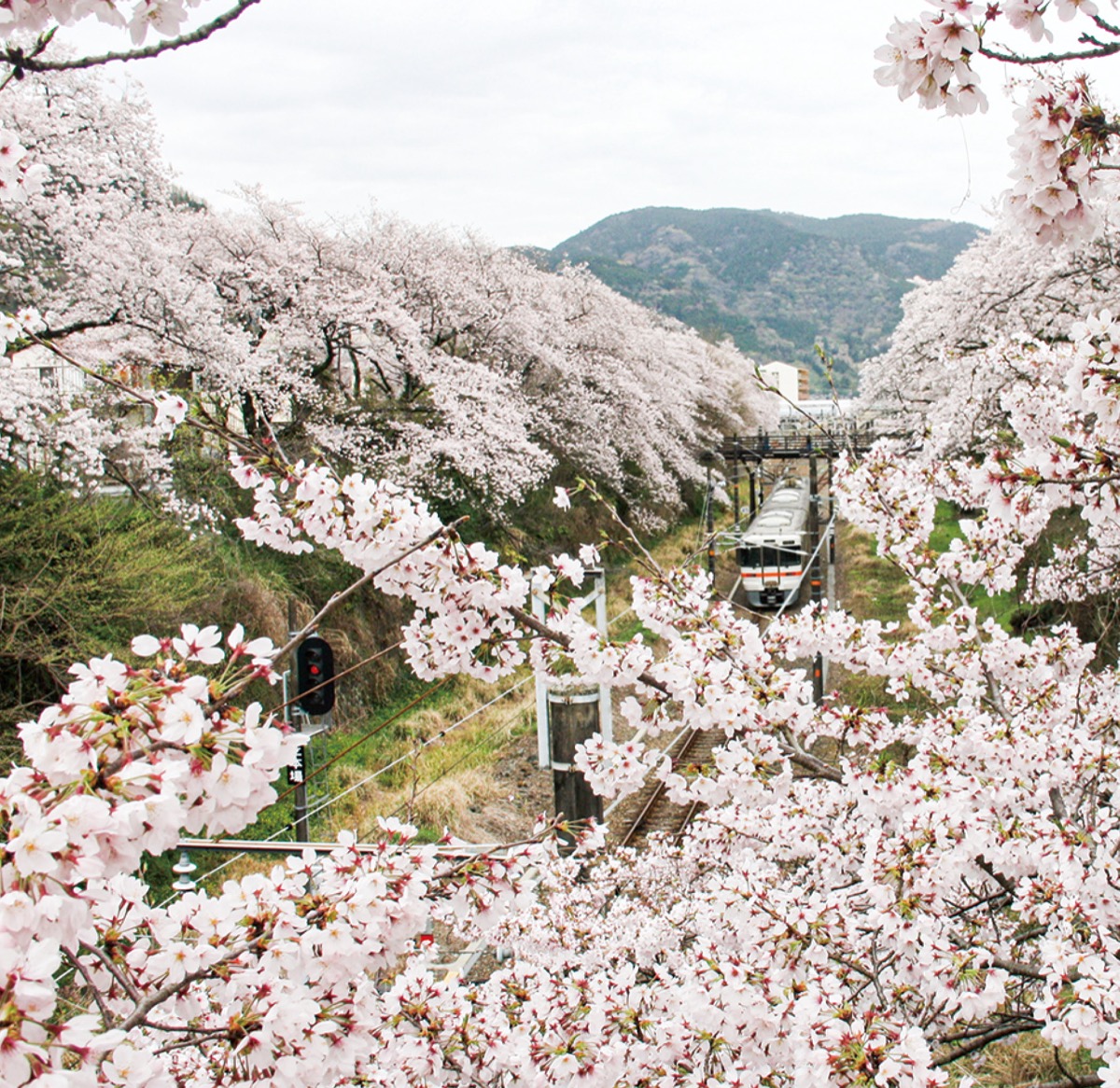 山北駅（３月27日／山北町）