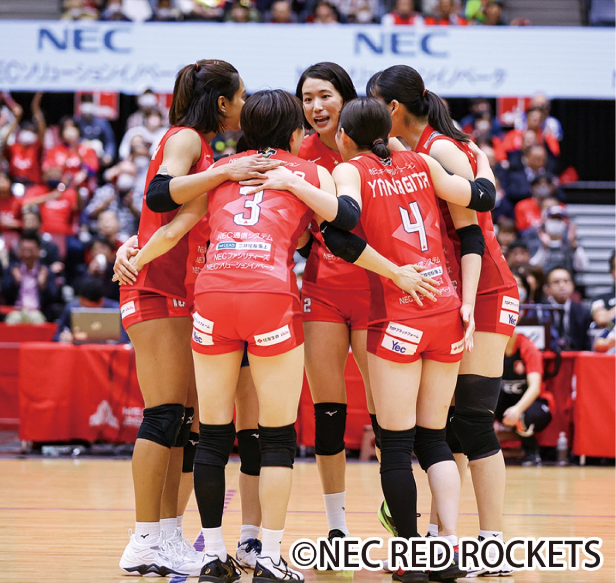 女子バレーを観に行こう