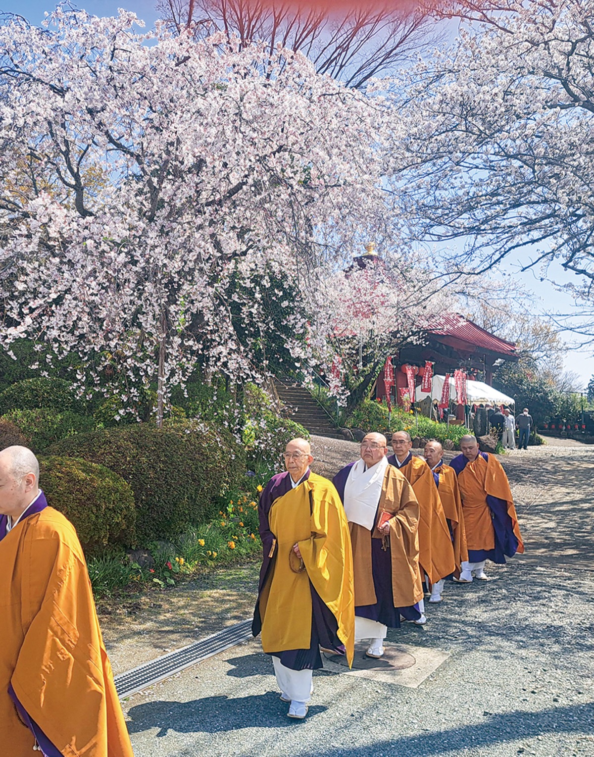 大般若経の転読行
