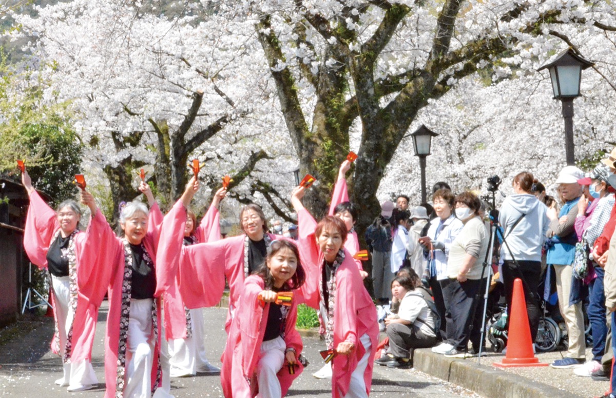 桜の下500人が演舞