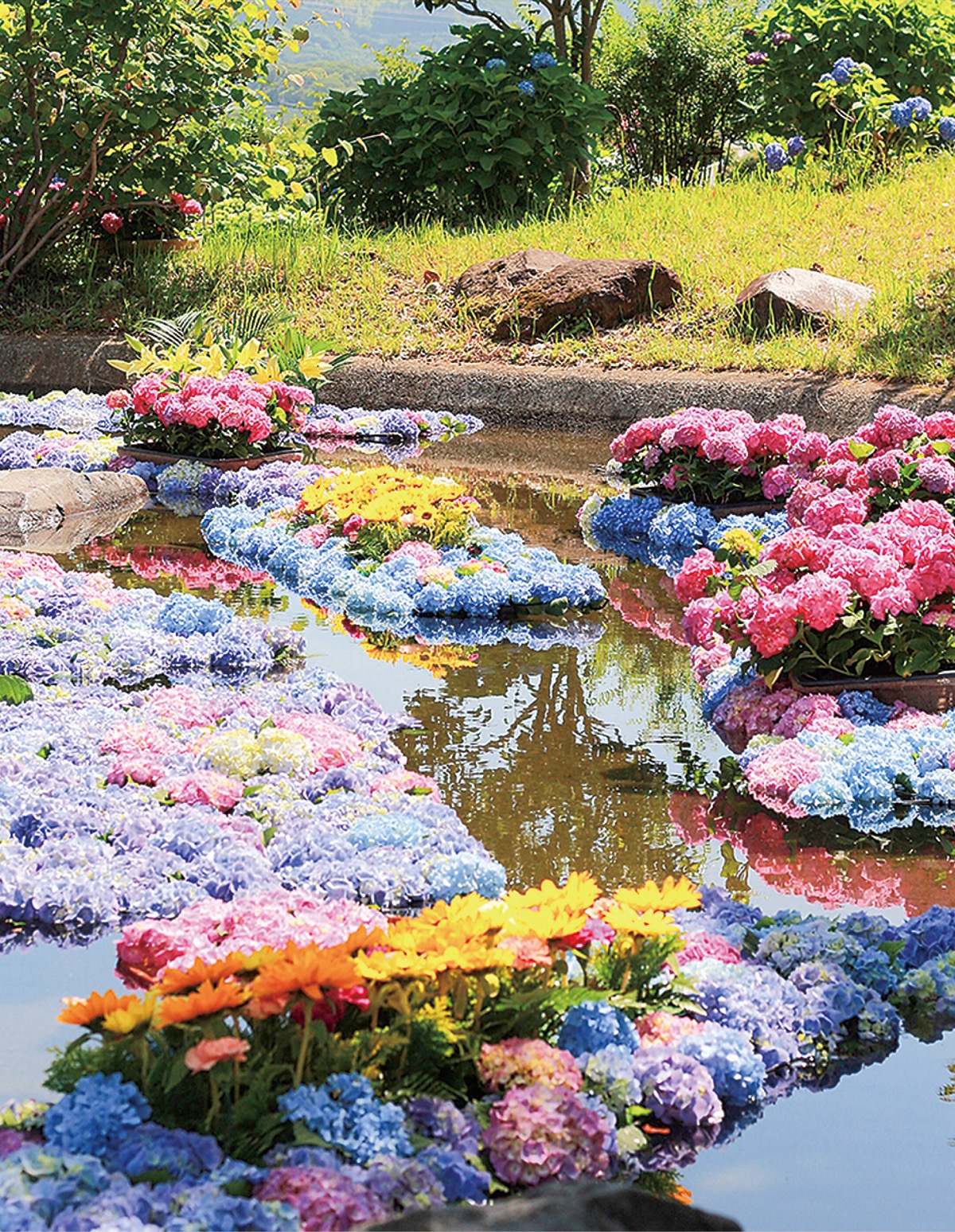 入込観光客数22.3万人