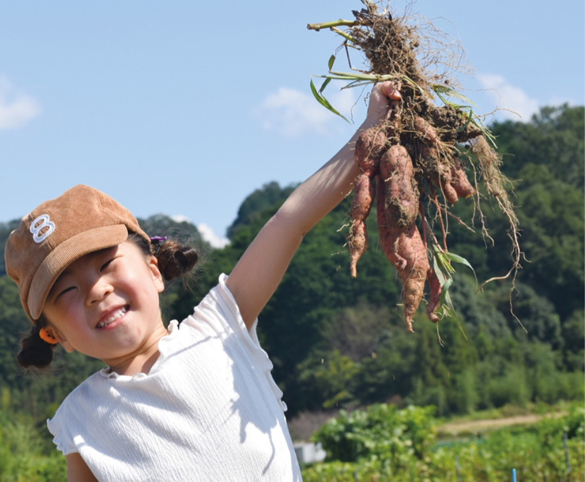 イモ収穫とピザ作り