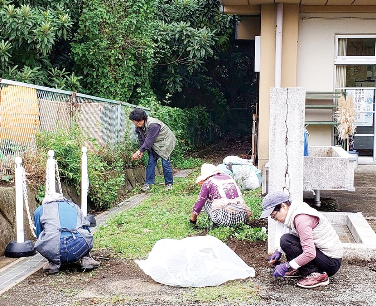 公共施設で除草ボラ