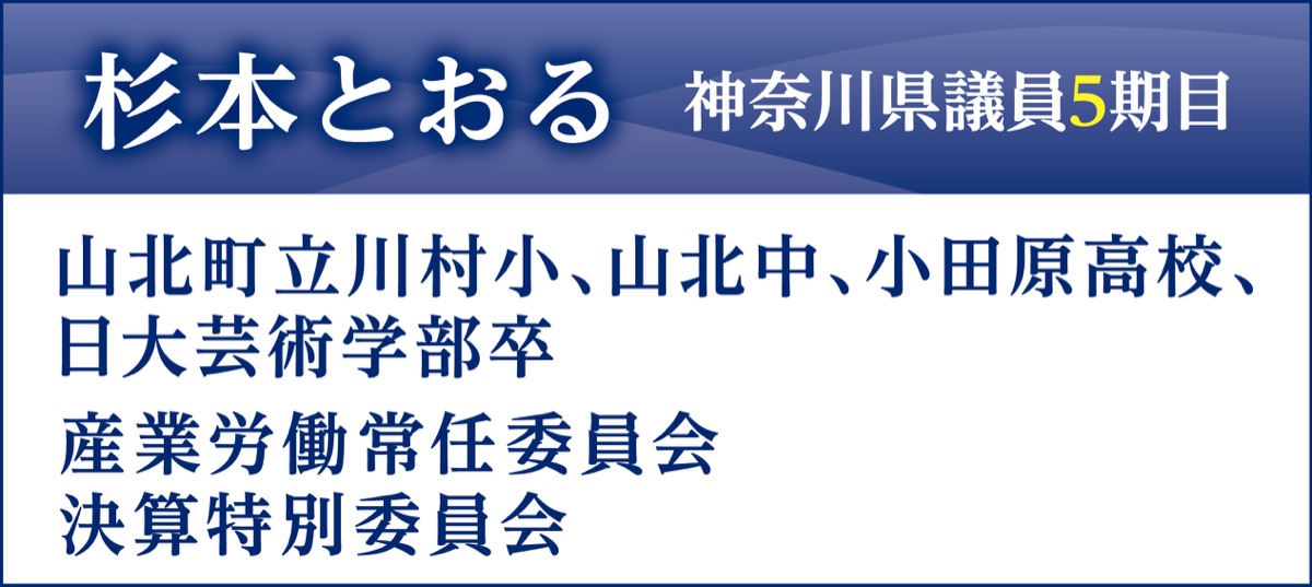 手綱締め、確かな歩みを (写真2)
