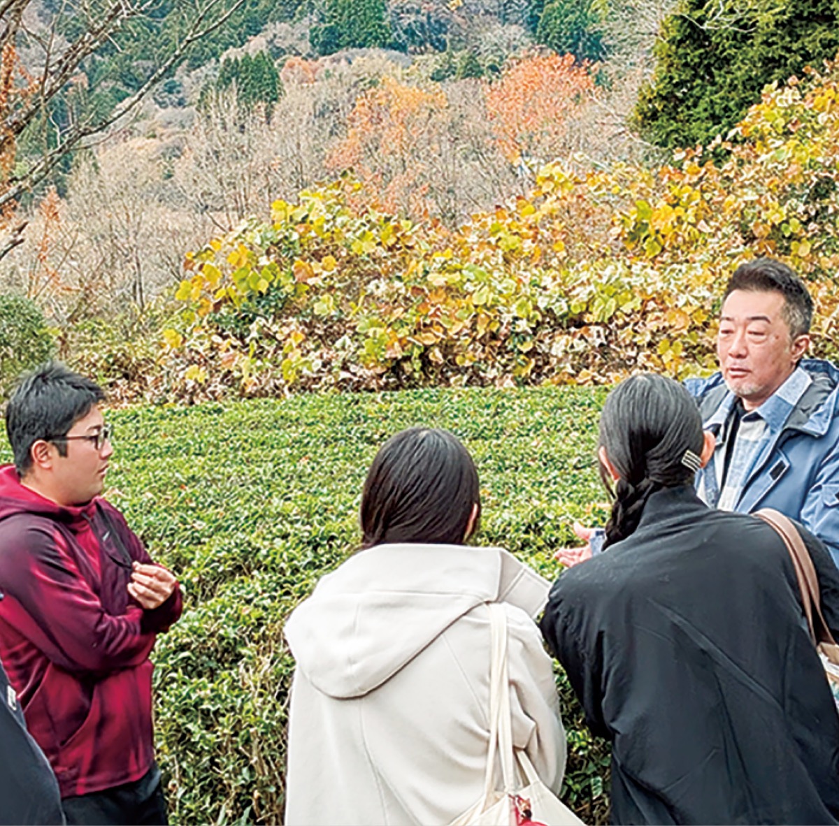 寄の茶で地域活性化へ