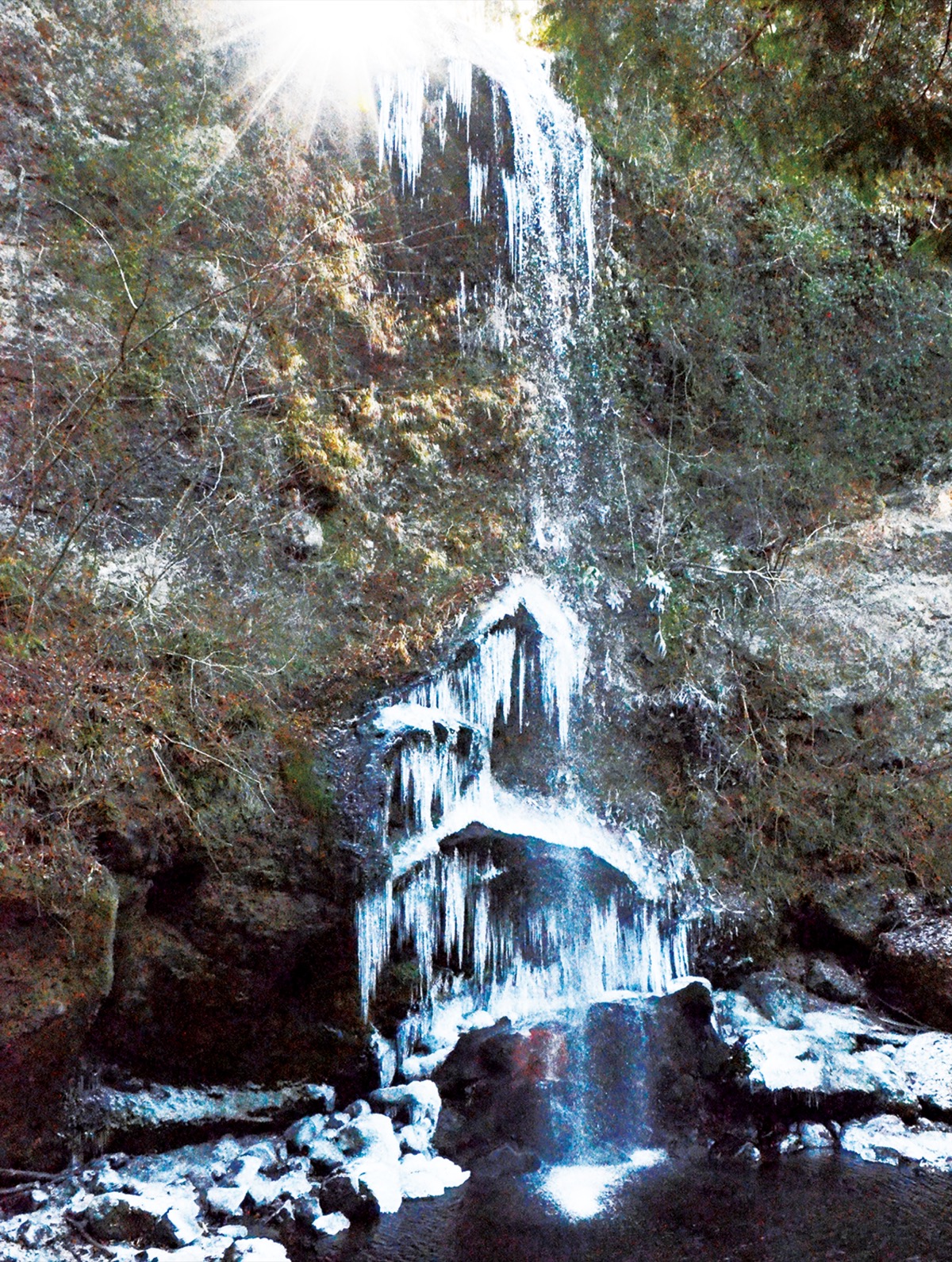 滝口の陽光氷瀑照らす
