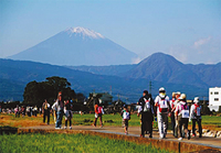 詳しい内容はホームページをチェック！