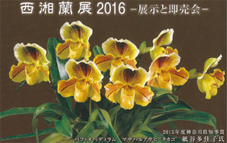 2015年度神奈川県知事賞の紙谷多佳子氏の作品