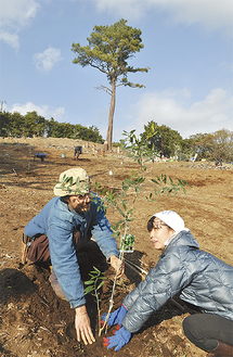 山平さんの知人らが植樹を手伝った＝今年２月