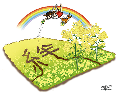 菜の花キャンペーン