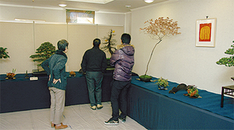 展示された盆栽を見学する来場者