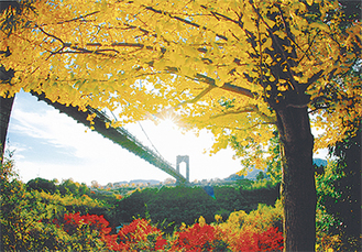 秋の戸川公園の吊り橋を撮影した中村さんの「公園の秋」