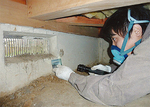 床下調査で基礎のチェックをする耐震設計施工技術者の澤田泰輔さん（同社社員）