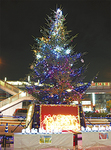 駅前のクリスマスツリー