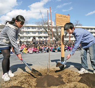 全校児童に見守られ植樹を行う代表児童