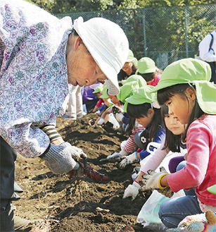 飯田さん（左）に掘り方を教わる園児