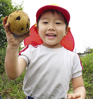 嬉しそうに収穫したイモを手に取る園児