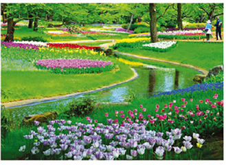 「春の花園」＝昭和記念公園