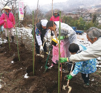 植樹式で八重桜を植える参加者
