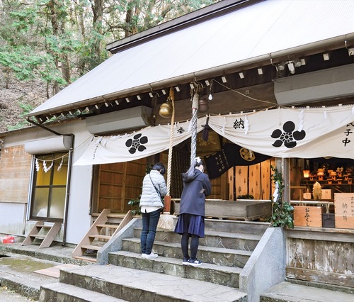 手を合わせて祈る参拝者