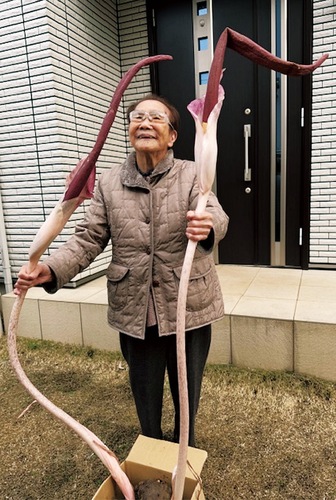 コンニャクの花を前に笑顔の井上さん（写真：井上さん提供）