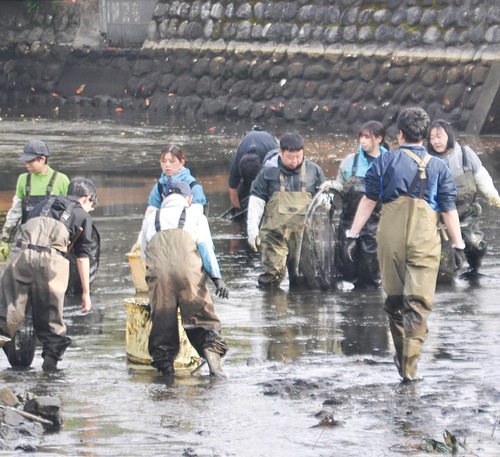 今泉名水桜公園での調査の様子
