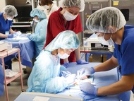 医療体験｢オペラボ｣初開催