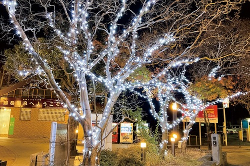 駅北口に設置さたイルミネーション