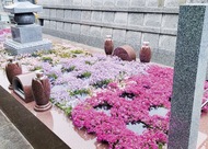 お参りしやすさが好評