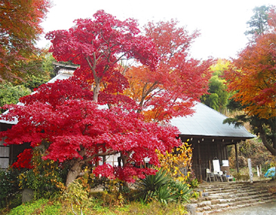 多彩！蓑毛の賑わいづくり