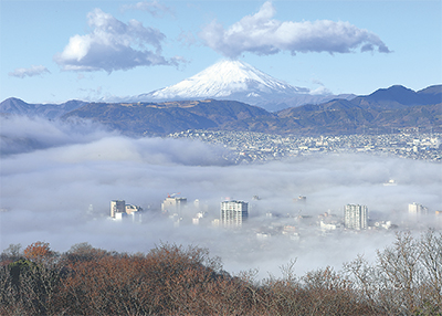 冬に魅せる富士の景色